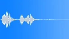 BIRD HONEY EATER CALL04 Sound Effect