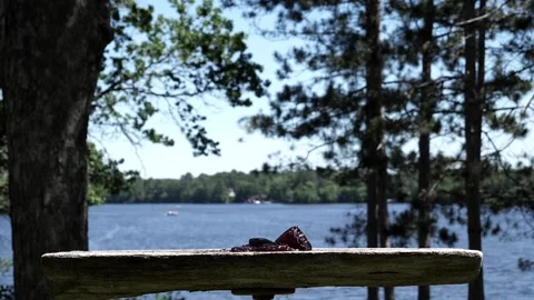 Bird hops off the camera to then land on a platform. Video stock 148676701