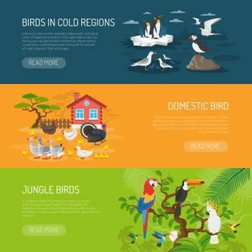 Bird Horizontal Banners Set Illustration