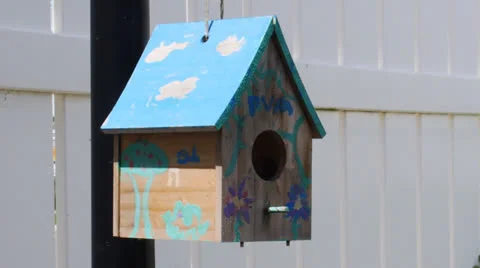 Bird-house-1 Stock Footage 24686346
