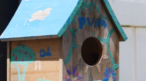 Bird-house-3 Stock Footage 24674725