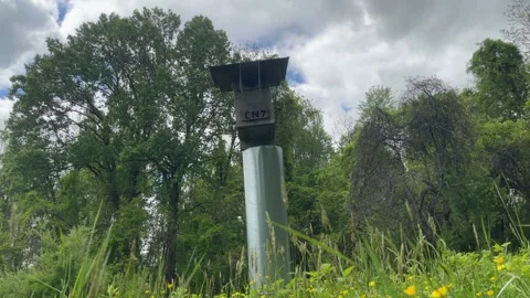 Bird House with Clouds Moving Above. Stock Footage 241524182