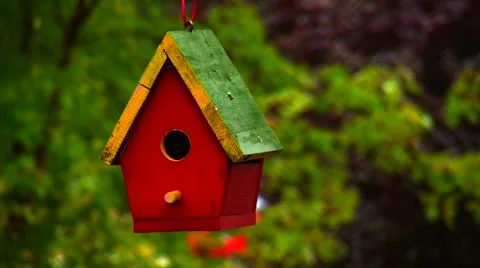 Bird house Stock Footage 905051