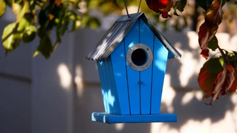 Bird House 動画素材 89401608