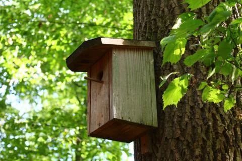 Bird house in the forest Stock Photos