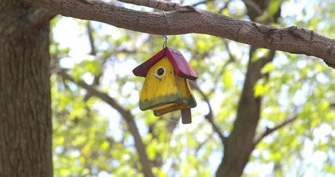 Bird House hanging in a tree Stock Footage 115135641