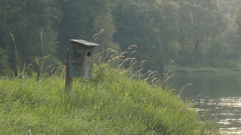Bird House on a Lake Stock Footage 88409335