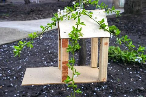 Bird house, nesting box on tree Stock Photos