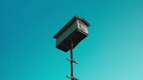 Bird House in the paddy field Stock Footage 280811119