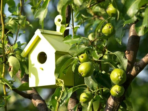 Bird house Stock Photos