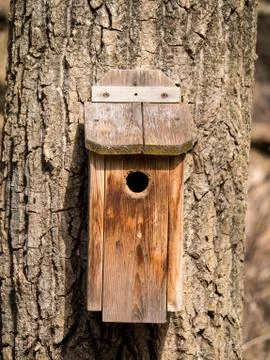 Bird house Stock Photos