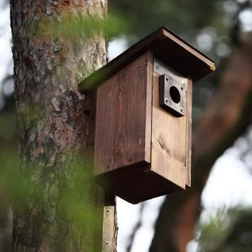 Bird house Stock Photos