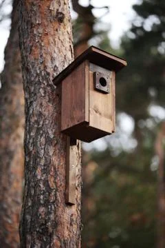 Bird house Stock Photos