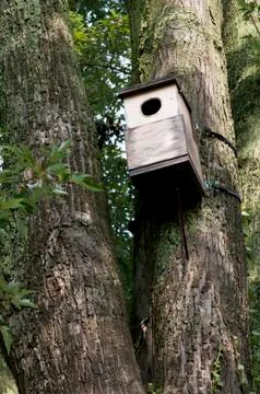 Bird House Stock Photos