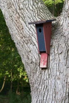 Bird house Stock Photos
