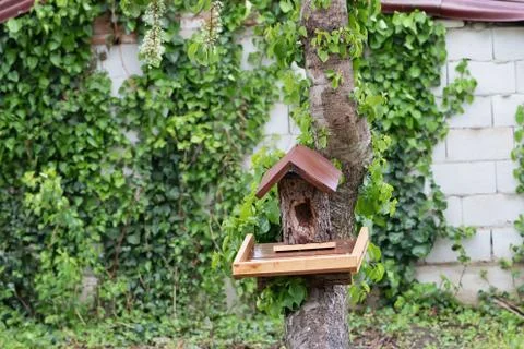 Bird House Stock Photos