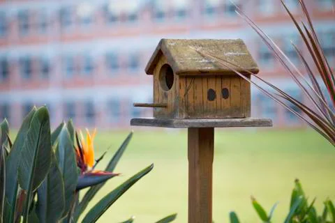 Bird House Stock Photos