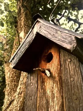 Bird House Stock Photos