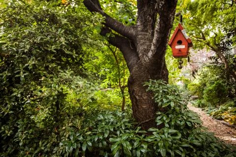 Bird house Stock Photos