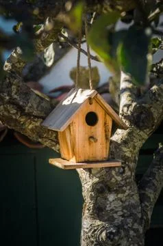 Bird House Stock Photos