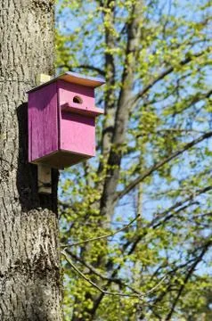Bird House 写真素材
