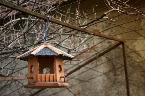 Bird House Stock Photos