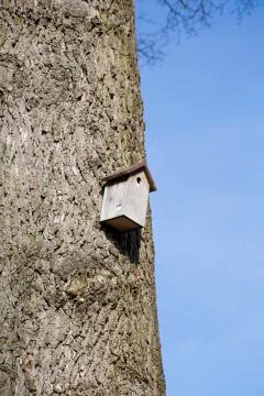 Bird House Stock Photos