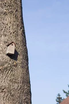 Bird House Stock Photos