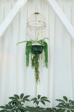 Bird house Stock Photos