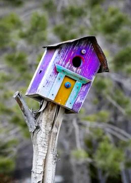 Bird House Stock Photos