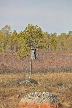 Bird house. Stock Photos