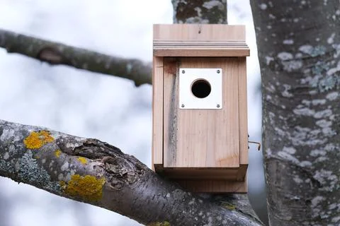 Bird House Foto stock
