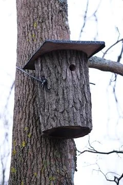 Bird House Stock Photos