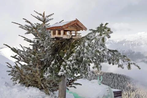 Bird house on pine tree Stock Photos