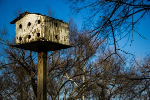 Bird House on pole 스톡 사진