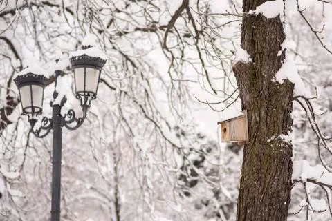 Bird house on the tree Stock Photos
