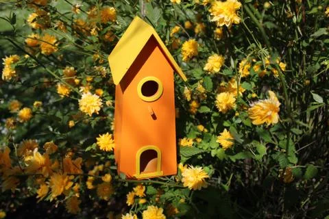 Bird house in the tree Stock Photos