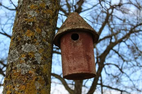 Bird house on a tree Stock Photos