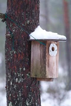 Bird house on a tree Stock Photos