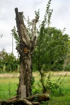 Bird house in a tree trunk Stock Photos