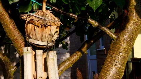 Bird house wind chime on tree Stock Footage 95630181