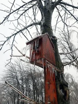 Bird house in winter on an old tree Stock Photos