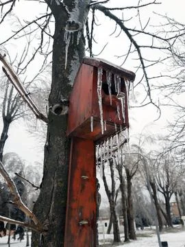 Bird house in winter on an old tree Stock Photos