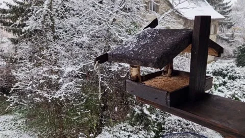 Bird house in winter with snow in background Stock Footage 225325290