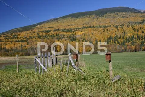 Bird houses in the fall Stock Photos