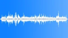 BIRD, HUMMINGBIRDSound Effect