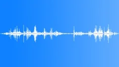 BIRD, HUMMINGBIRDSound Effect