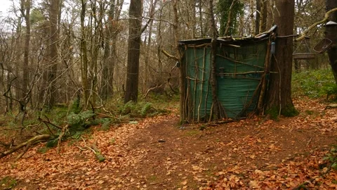 Bird Hut in forest Stockbeeldmateriaal 145369887