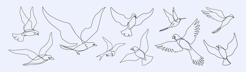 Bird icon. Line continuous logo, simple single flying gull. Eagle, swallow or イラスト素材