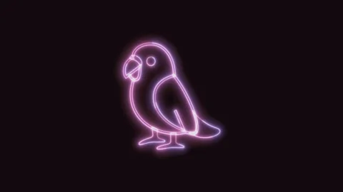 Bird Icon Neon Seamless Loop with Black Background 4K Video stock 311301044